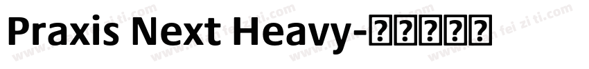 Praxis Next Heavy字体转换